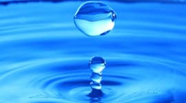 Устойчивое развитие. Зеленые инициативы «аллнекс»