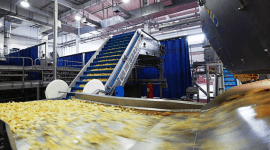 Растительные масла для лакокрасочных композиций