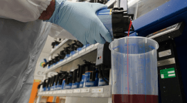 Состояние и развитие российского рынка лакокрасочных материалов