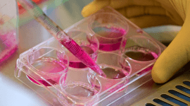 Нанонаполнители в кабельных пластикатах