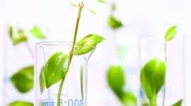 Завтра будет лучше, чем вчера. Оптимистичные прогнозы производителей смол