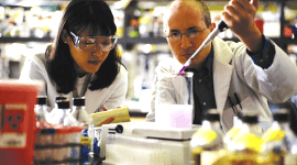 РСХ. Итоги пятилетней работы