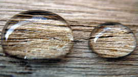 «Эффект лотоса»: от ядерного реактора до планшета