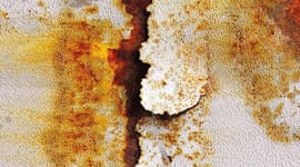 Разрушительная природа омыления. Воздействие внешних факторов на ЛКП