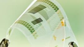 Органическая и печатная электроника: на волне успеха