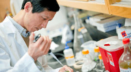 Доказано: экологичные коалесценты и пластификаторы существуют