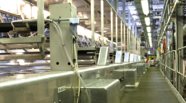 Компостируемая возобновляемая упаковка 