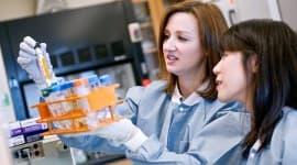 Показатели производства дисперсий в РФ растут